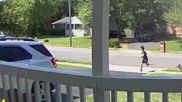 Multiple people attacked by dogs in Manassas