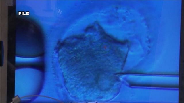 DC Council to vote on bill to cover fertility treatments