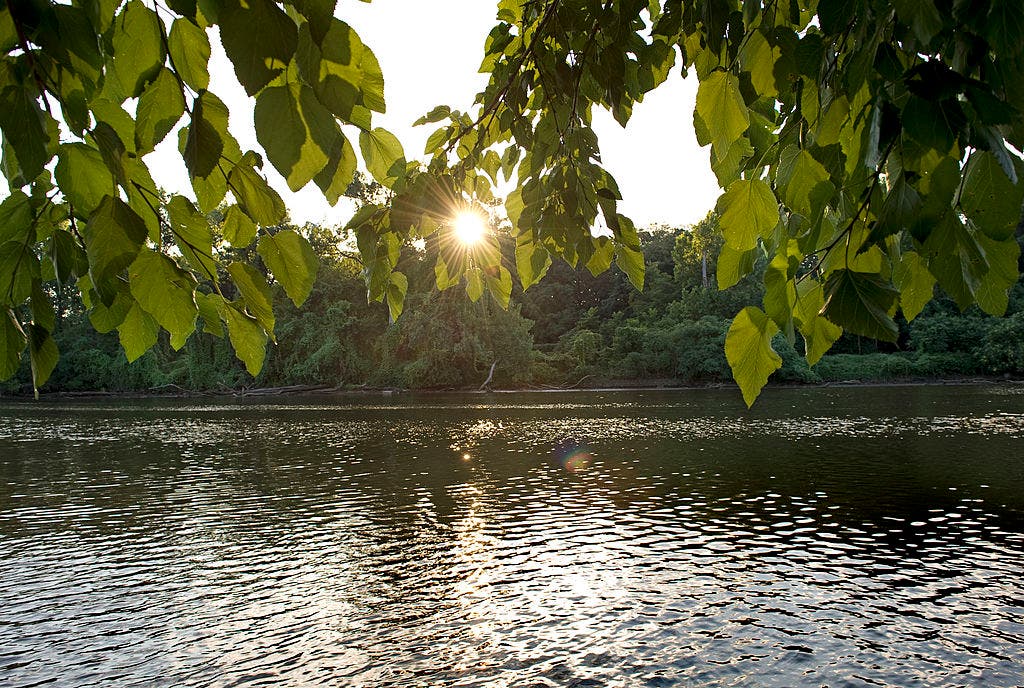 Anacostia River splash postponed again due to water quality | FOX 5 DC