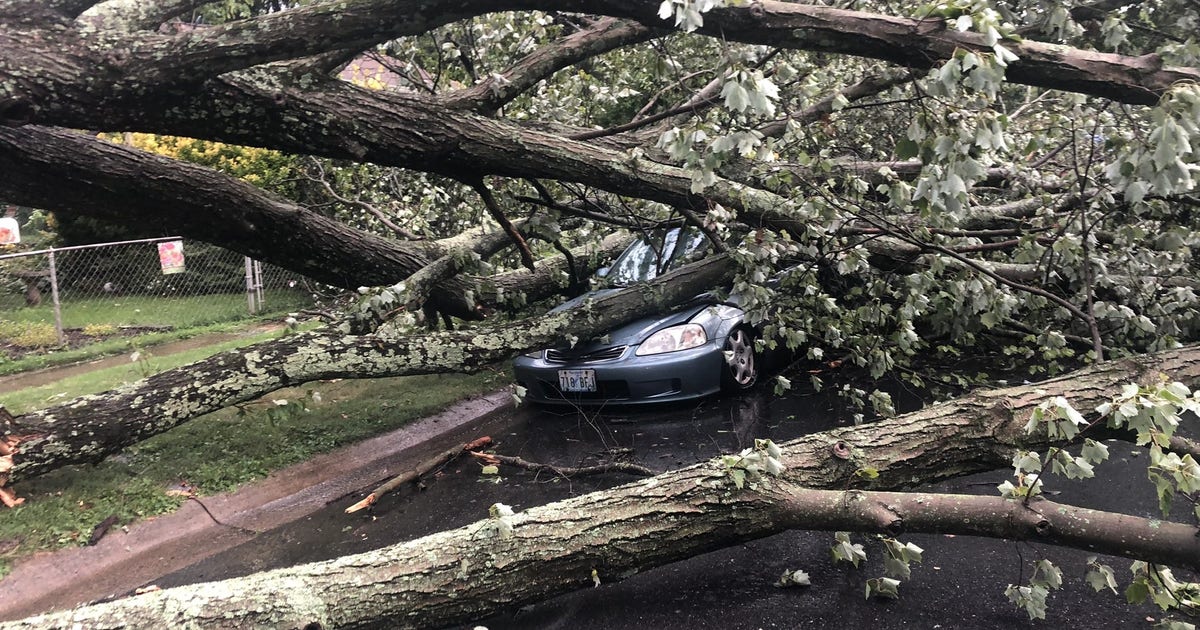 Severe storms ravage DC region, photos capture aftermath | FOX 5 DC
