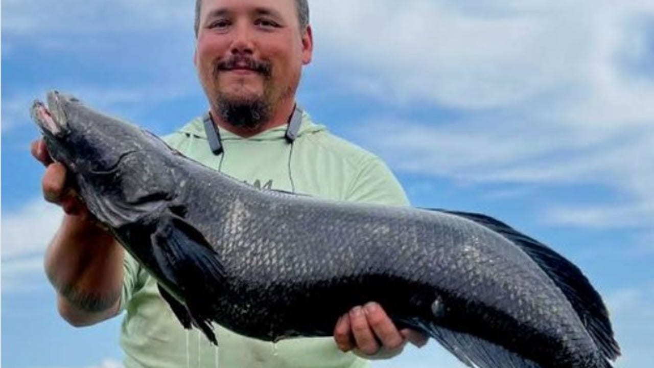 World Record Northern Snakehead