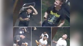 Video shows group snatching koi fish from pond, tossing them around in Ocean City