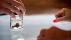 Maryland marijuana sales eclipse $10M during first weekend of legal recreational use