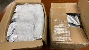 CBP officers seize 70 pounds of dangerous synthetic drugs at Dulles Airport
