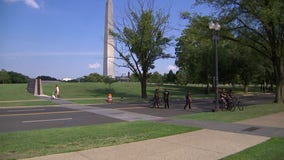 Summer Solstice: How to celebrate the first Saturday of summer in DC, Maryland & Virginia