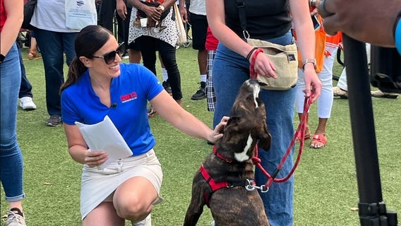 Exploring Navy Yard: FOX 5 Zip Trip 2023