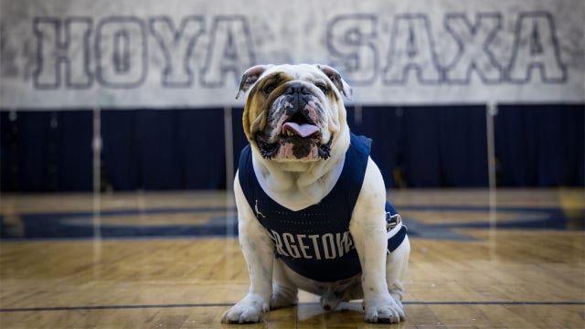 Georgetown mascot ‘Jack the Bulldog’ dies after brief illness