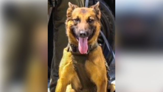 Forest Heights Police to honor K9 who died in the line of duty