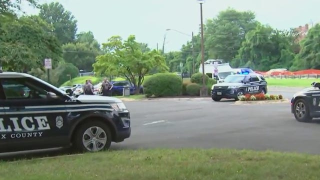 Son shoots mother, then himself in Fairfax County: police