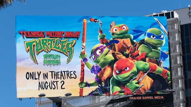 Tortoise rescue asks parents to buy toys, not turtles, ahead of ‘Ninja Turtles’ movie