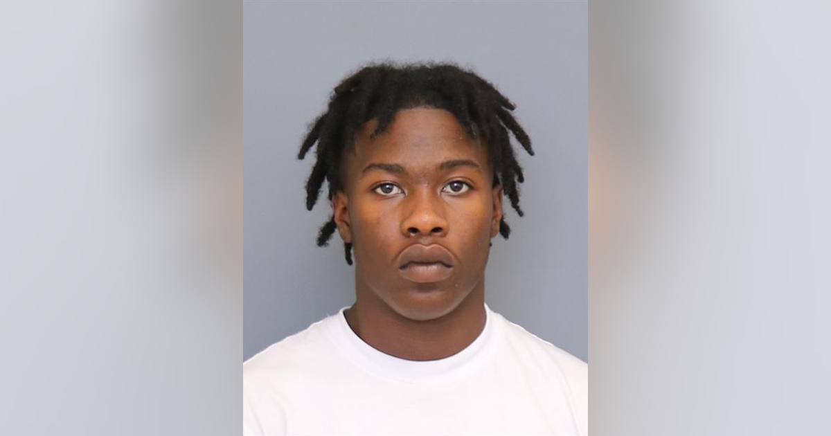 18-year-old charged with illegal possession of a firearm in Waldorf ...
