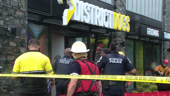 Timeline reveals delay in response to deadly District Dogs flood