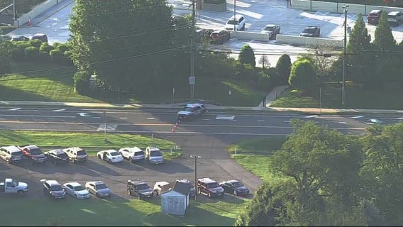 Woman killed in deadly pedestrian crash in McLean