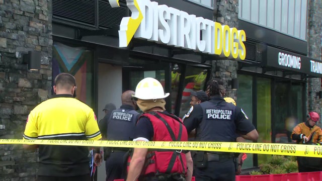 Timeline reveals delay in response to deadly District Dogs flood