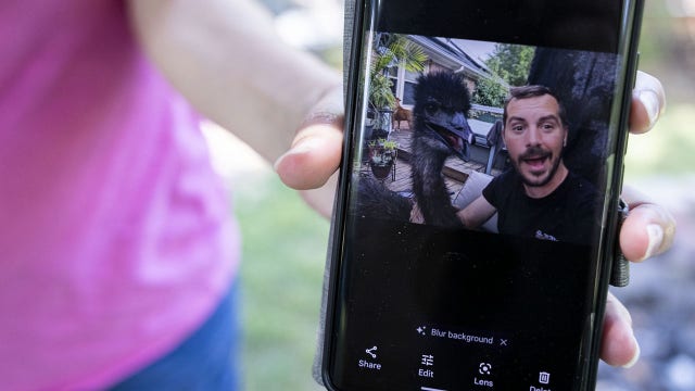 Virginia Beach man who won case to keep emotional support emu running for office