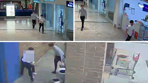 Armed thieves rob shopper at gunpoint outside Wheaton Mall