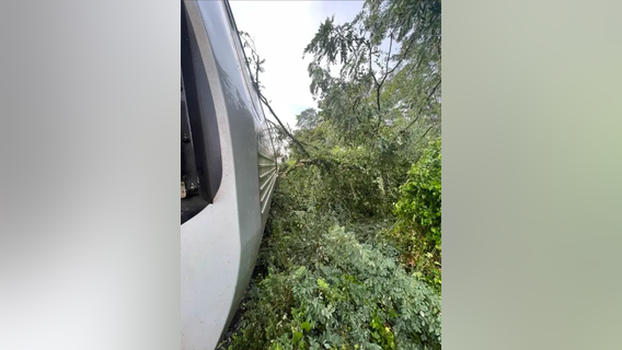 Trespasser on tracks leads to Metro delays on Red Line