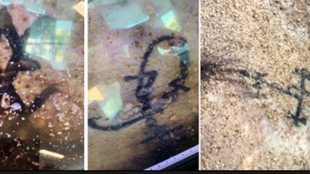 Police ask for help identifying man found dead in Prince George's County