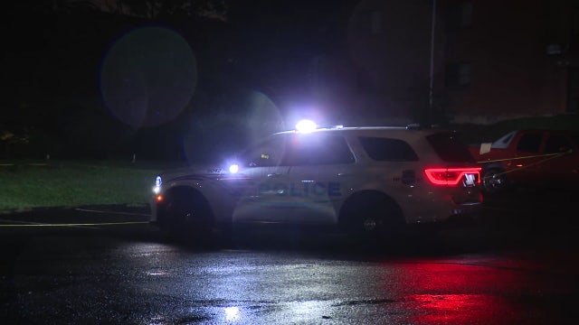 Mother shot, killed in DC; police unsure if she was intended target