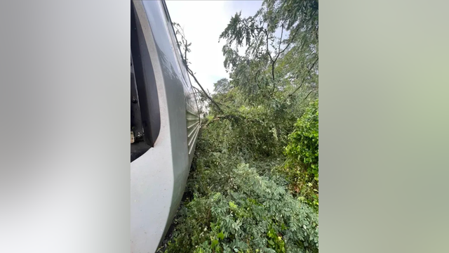 Trespasser on tracks leads to Metro delays on Red Line