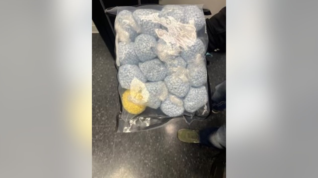 Virginia agencies seize 66K fentanyl pills in drug operation