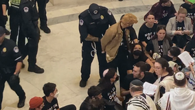 Pro-Palestinian demonstrators take over House building, throwing Capitol security into question