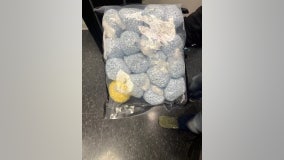 17,000 fentanyl pills seized in Fairfax County drug bust