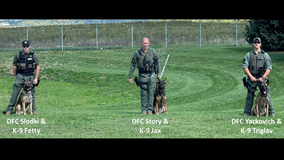 Frederick County Sheriff's Office welcomes 3 new K-9 officers to their team