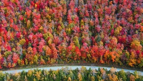 Tracking fall foliage: Where you can see peak fall colors right now