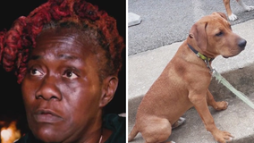 DC mother devastated after therapy dog is killed in hit-and-run months after son's murder