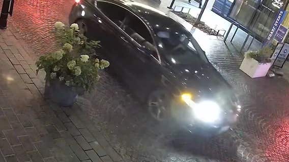 Viral video shows 4 armed suspects robbing restaurant-goers at the Wharf