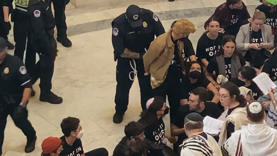 Pro-Palestinian demonstrators take over House building, throwing Capitol security into question