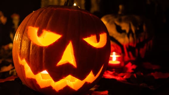 What to do with your pumpkins now that Halloween is over