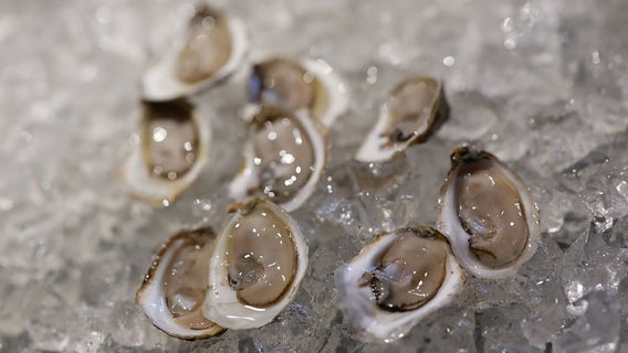 Former Hank’s Oyster Bar GM pleads guilty to embezzling $680,000 in fake employee scheme