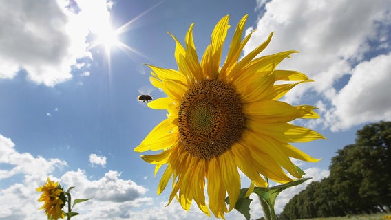 These US cities have the highest quality of life, according to a new study