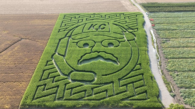 Watch: Andy Reid corn maze goes viral in Missouri