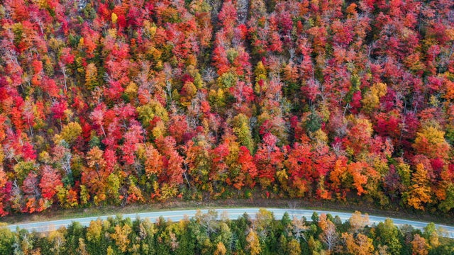 Tracking fall foliage: Where you can see peak fall colors right now