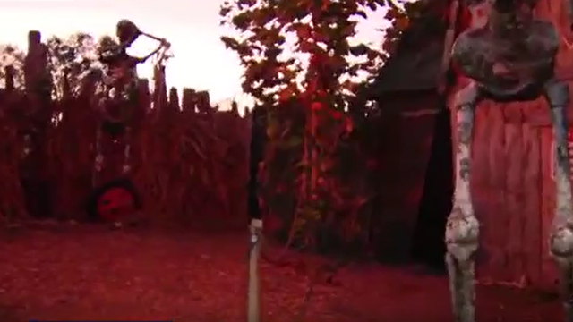 Markoff's Haunted Forest is filled with spooky Halloween thrills