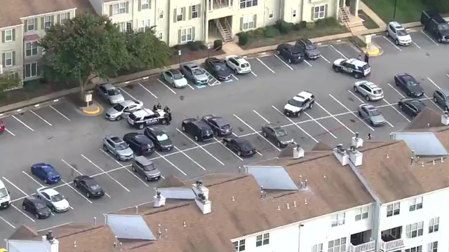 Man arrested in Florida after stabbing mom, fleeing Virginia: police