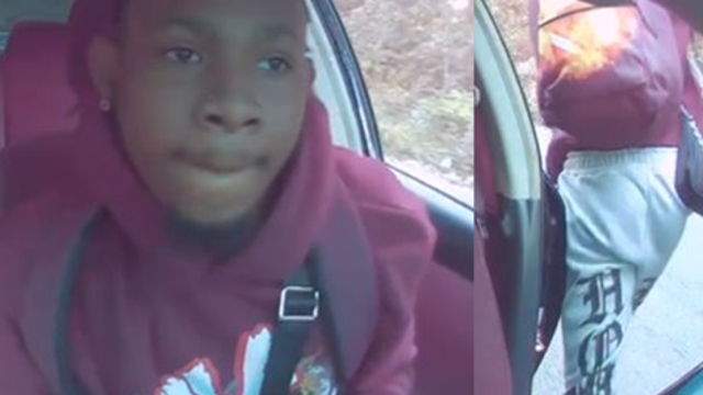 Teen arrested for violently carjacking Uber driver after she wouldn't let him bring his Yorkie