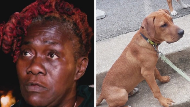 DC mother devastated after therapy dog is killed in hit-and-run months after son's murder