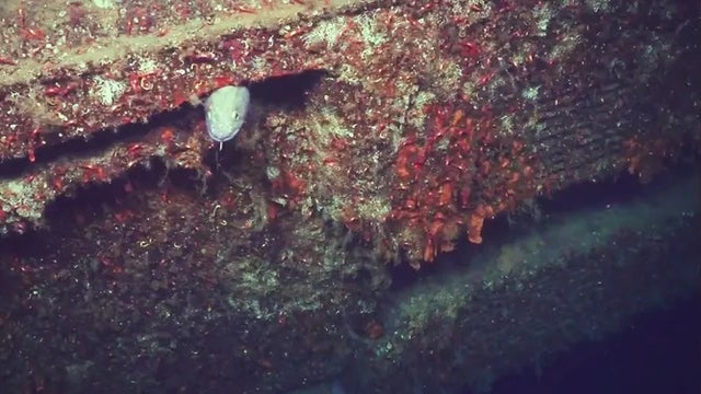 83-year-old wreckage of likely British WWII submarine discovered off Norway's coast