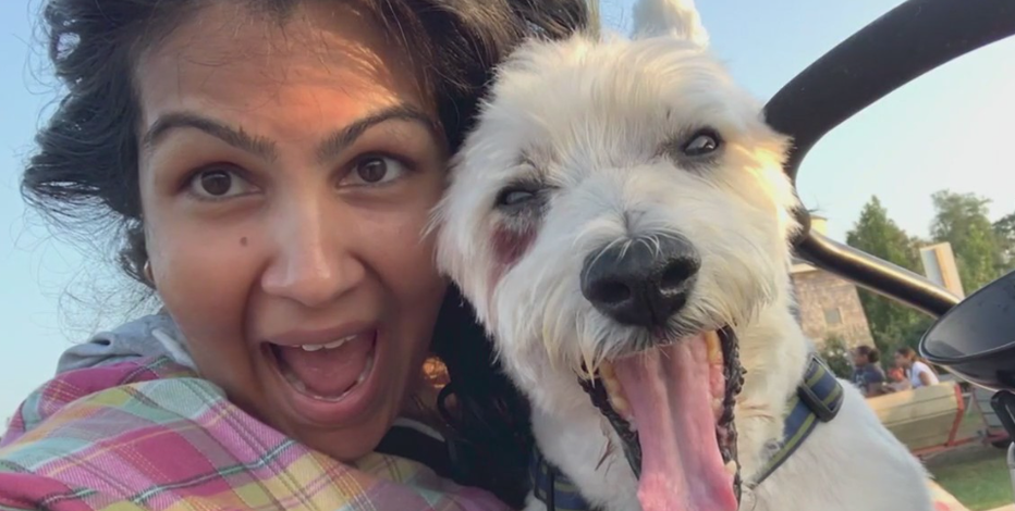 'I just want him home': DC woman pleads for safe return of dog stolen in violent attack