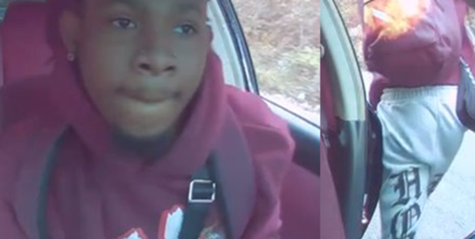 Teen arrested for violently carjacking Uber driver after she wouldn't let him bring his Yorkie