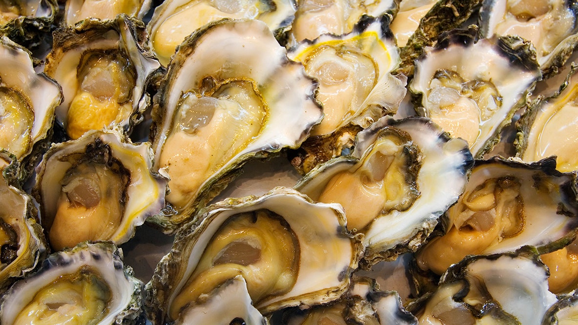 Multistate Salmonella outbreak linked to Virginia raw oysters sickens 27 people