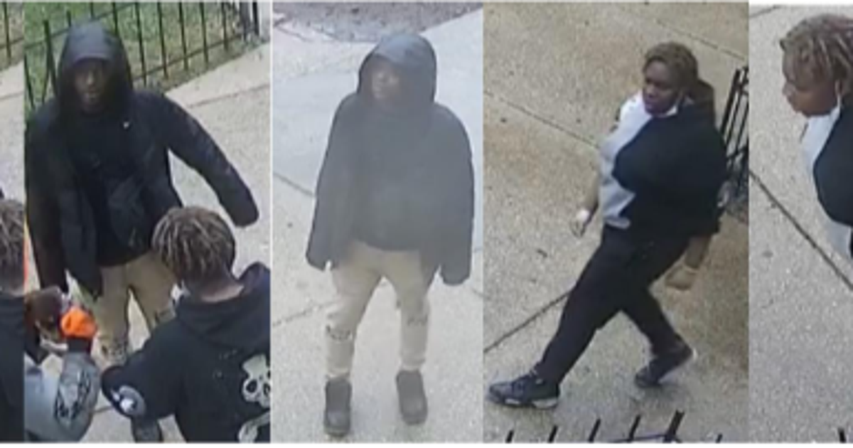 Victim robbed of dog and shoes at gunpoint in Southeast: police | FOX 5 DC