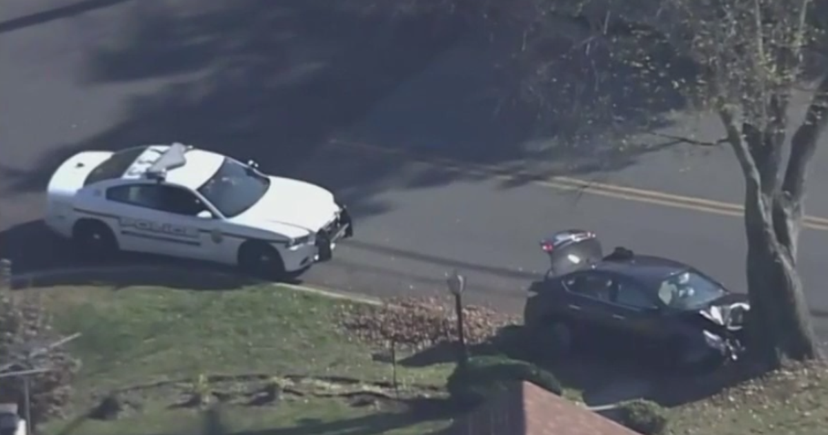 5 in custody after driver flees police in stolen car, crashes into tree ...