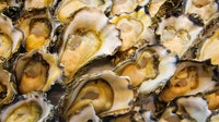 Multistate Salmonella outbreak linked to Virginia raw oysters sickens 27 people