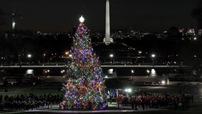 DC Holiday Event Guide 2023: Pop-up bars, performances, lights and more