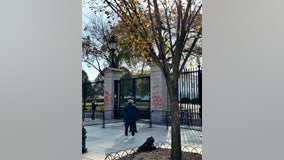 Pro-Palestine graffiti left near White House after thousands gathered for weekend protest